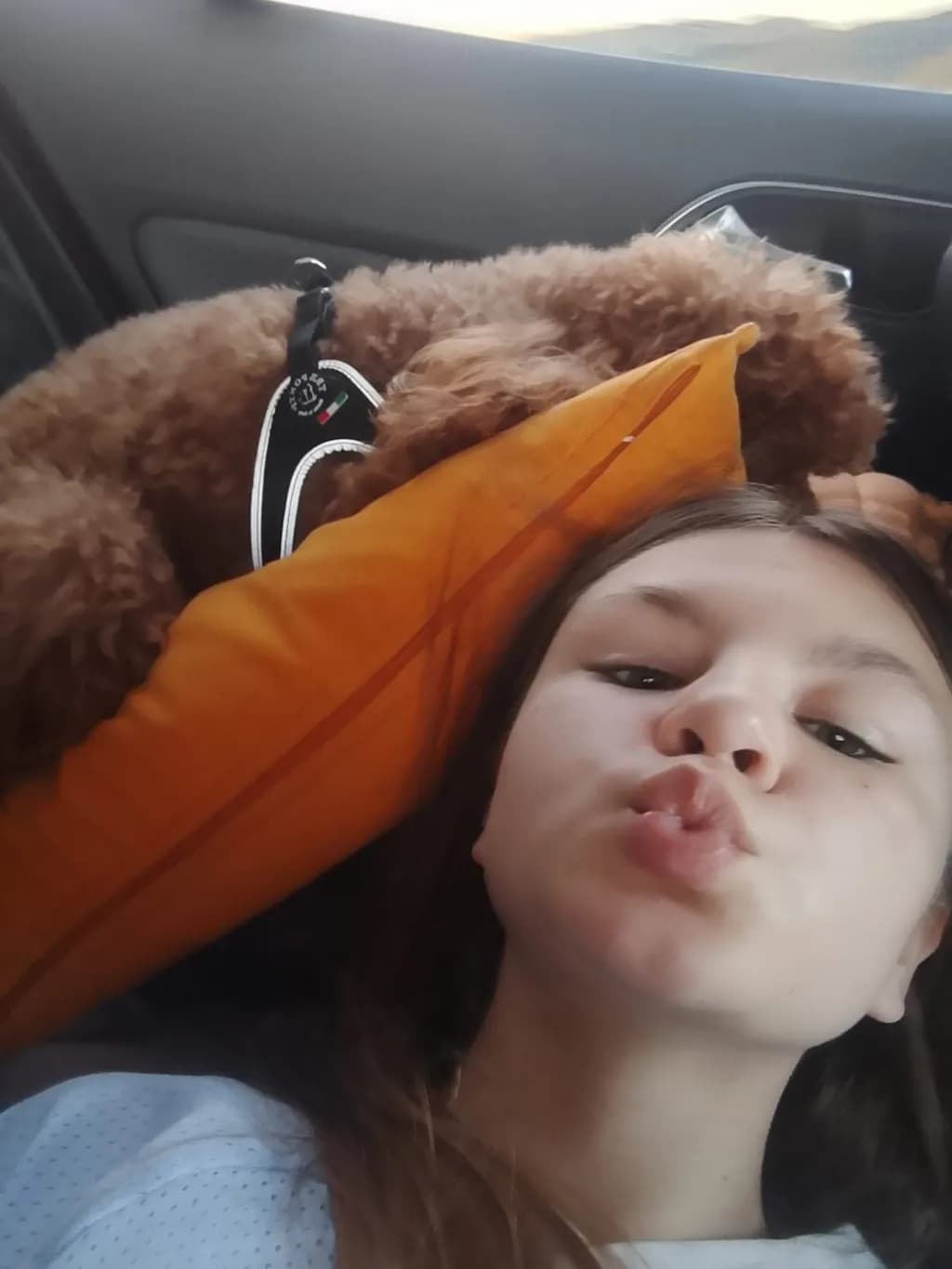 Puppy Car Ride