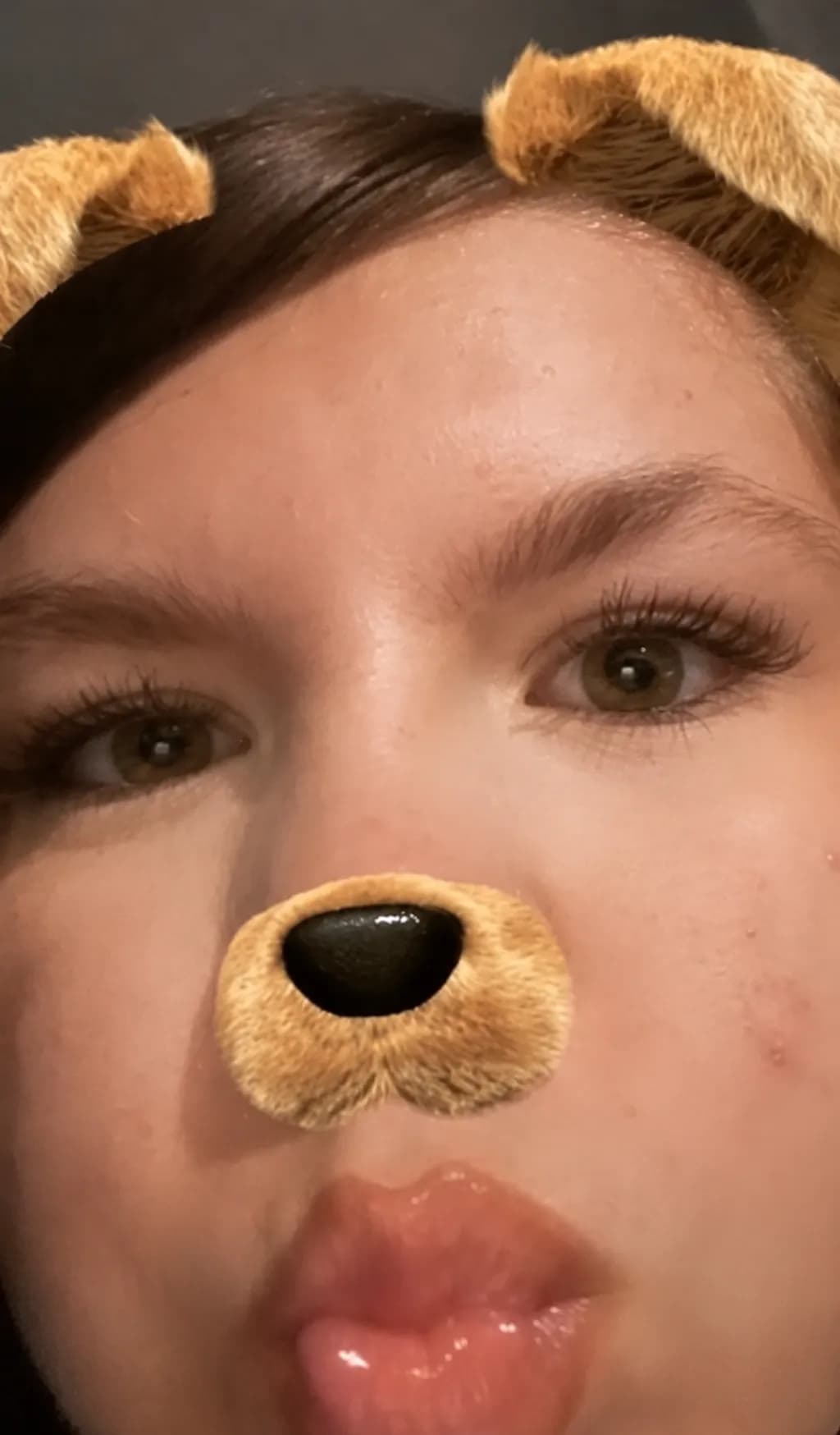 Dog Filter Close-Up