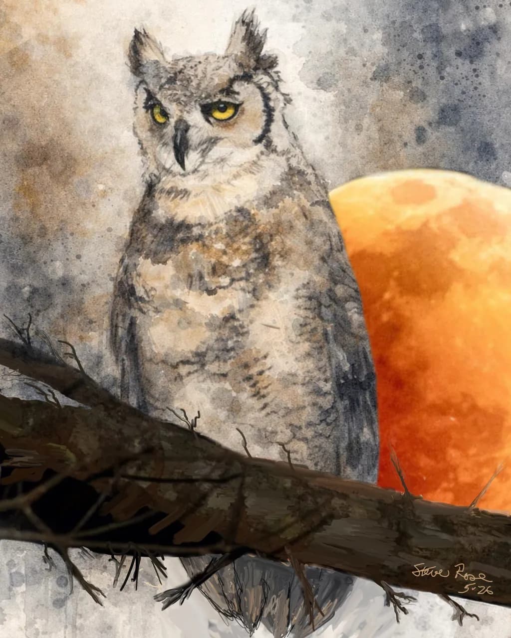 Owl and Moonlight