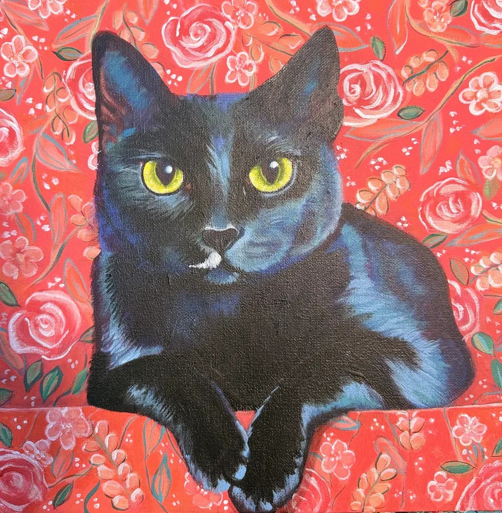 Buttercup the Cat