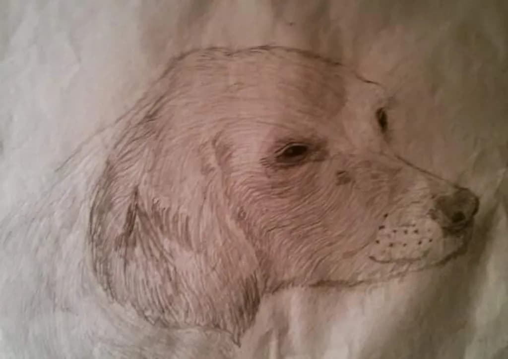 Dog Profile Sketch