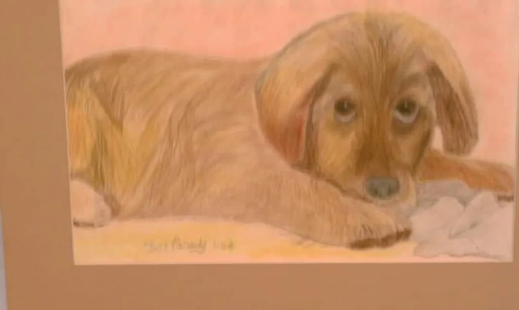 Puppy Resting