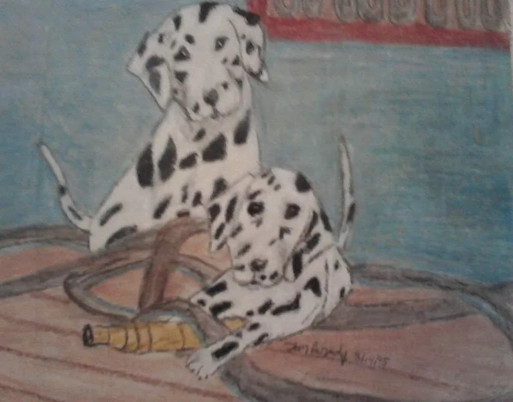 Dalmatian Puppies Playtime