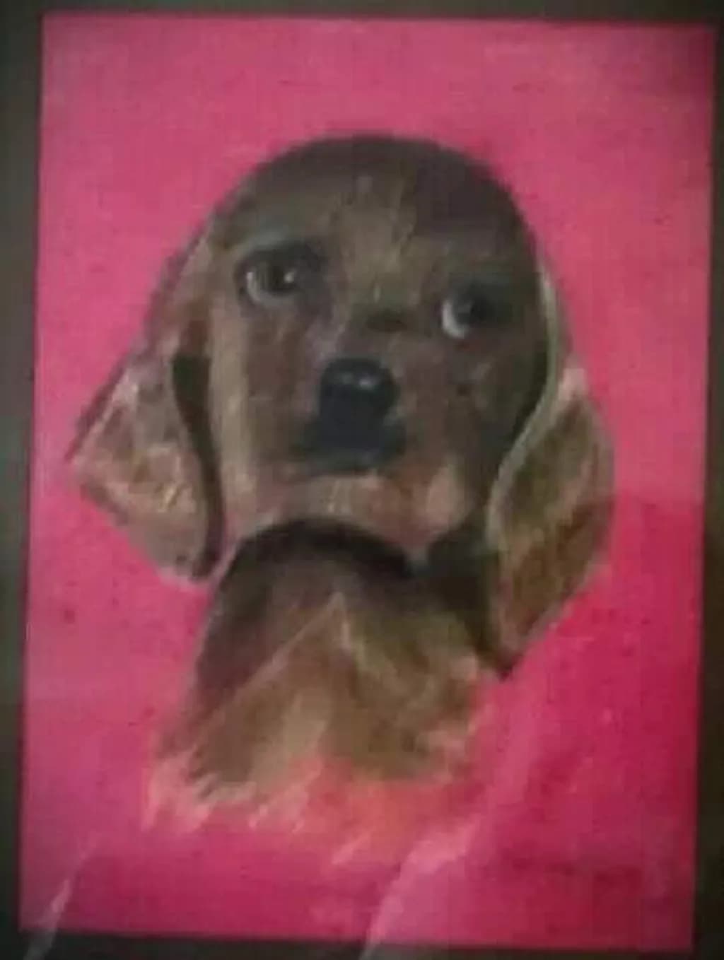 Dog Portrait on Pink