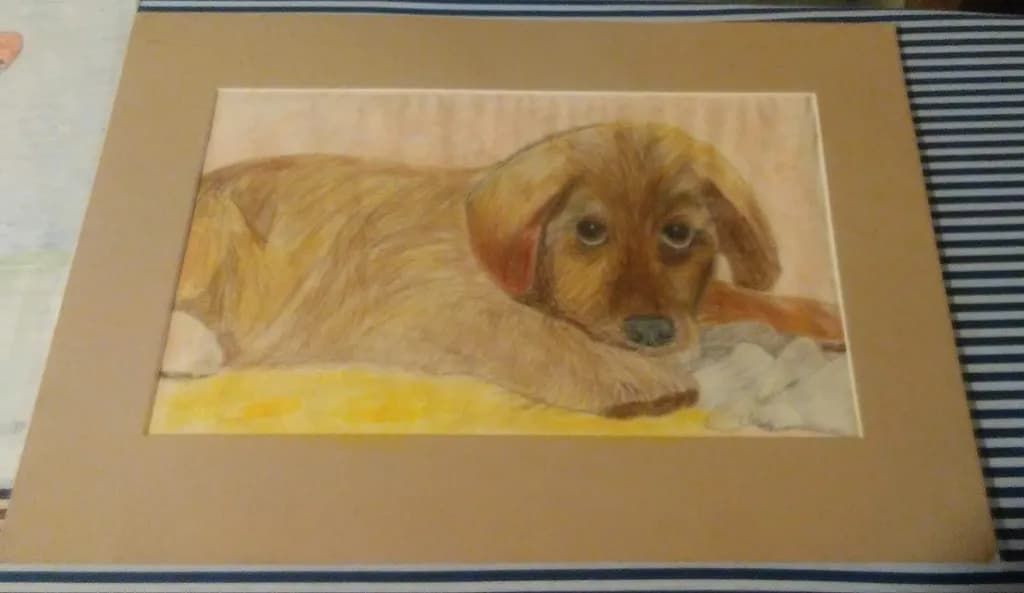 Resting Puppy