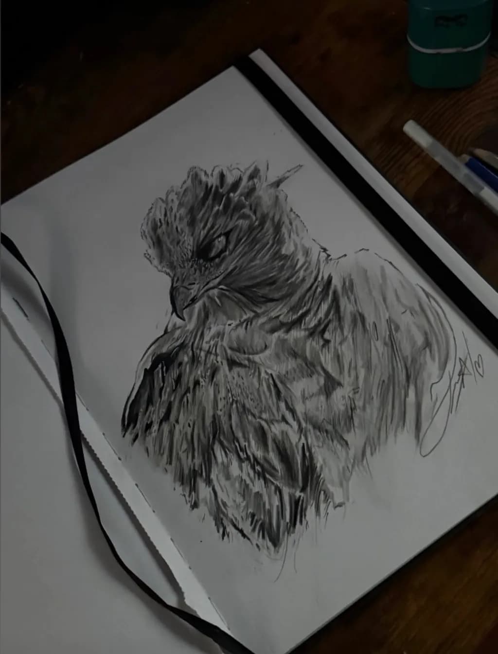 Fierce Hawk Portrait