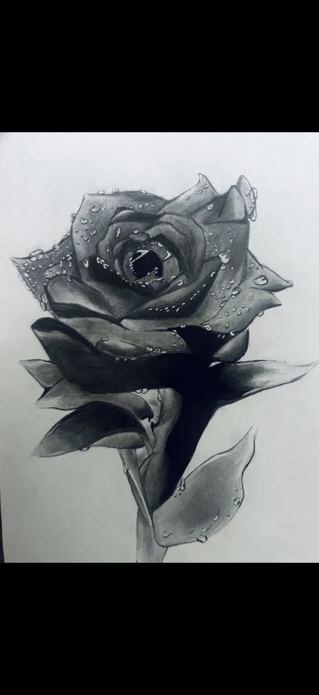 Rose with Dewdrops
