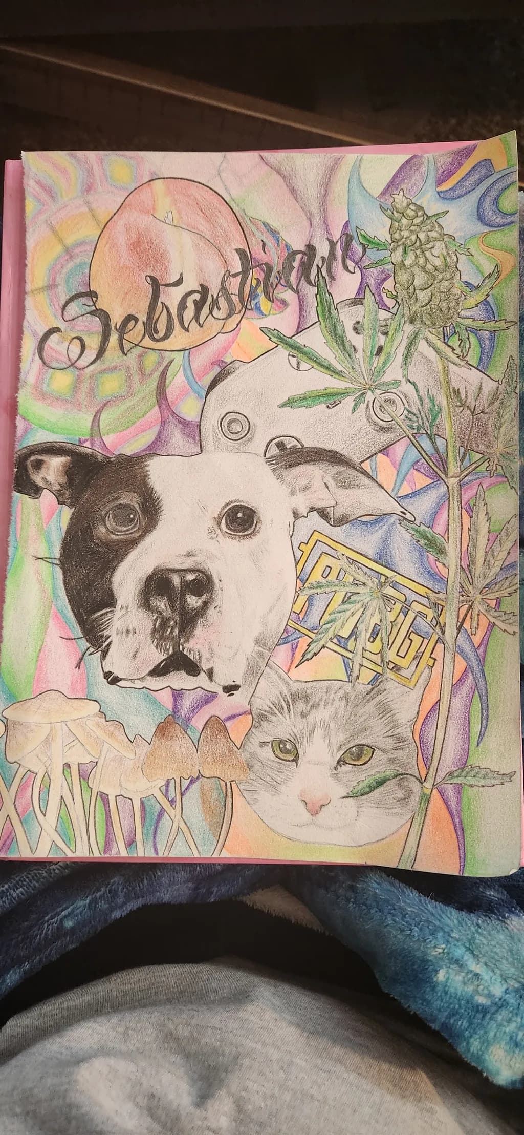 Dog, Cat, and Plants Collage