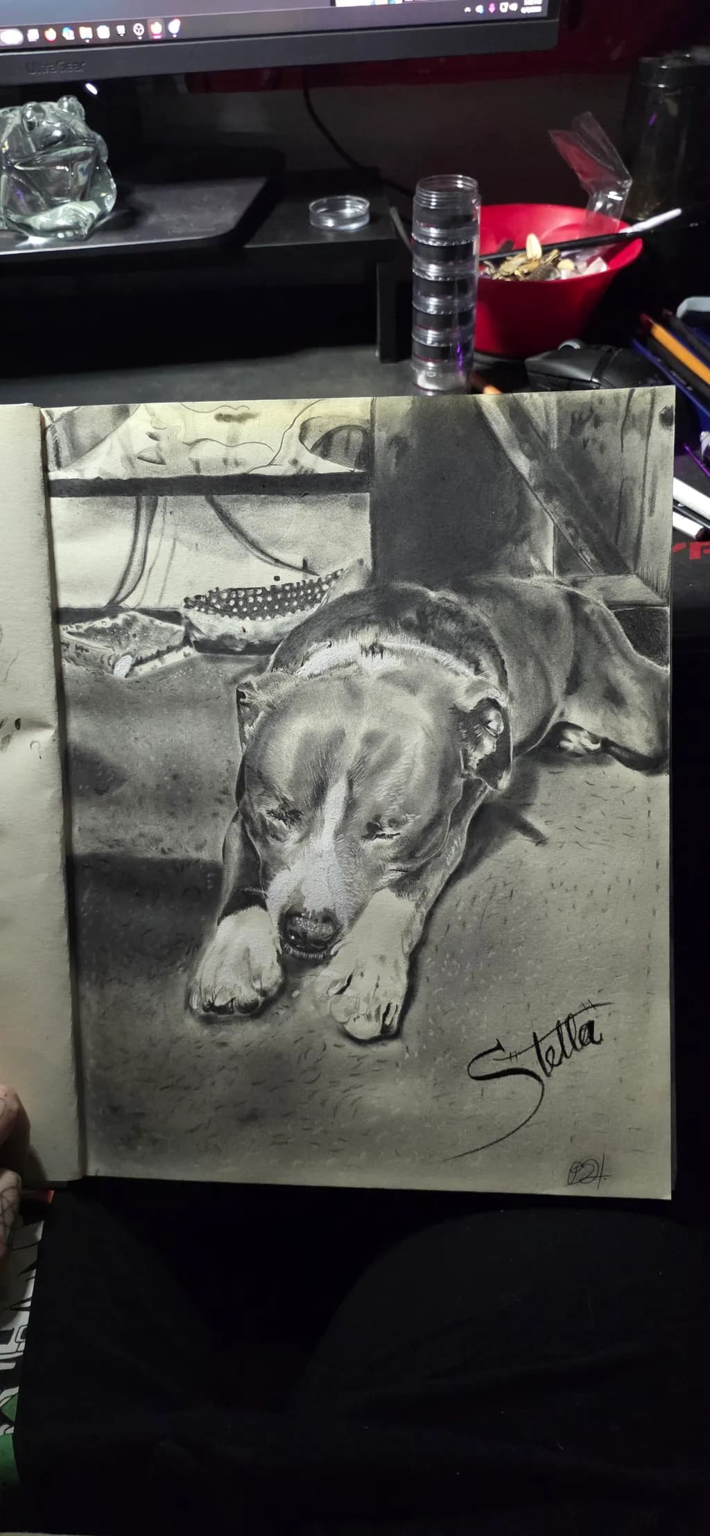 Sleeping Dog Study