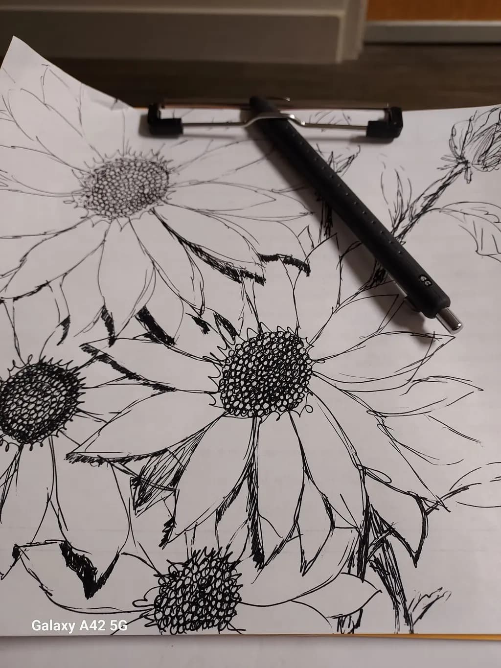 Sunflower Sketch