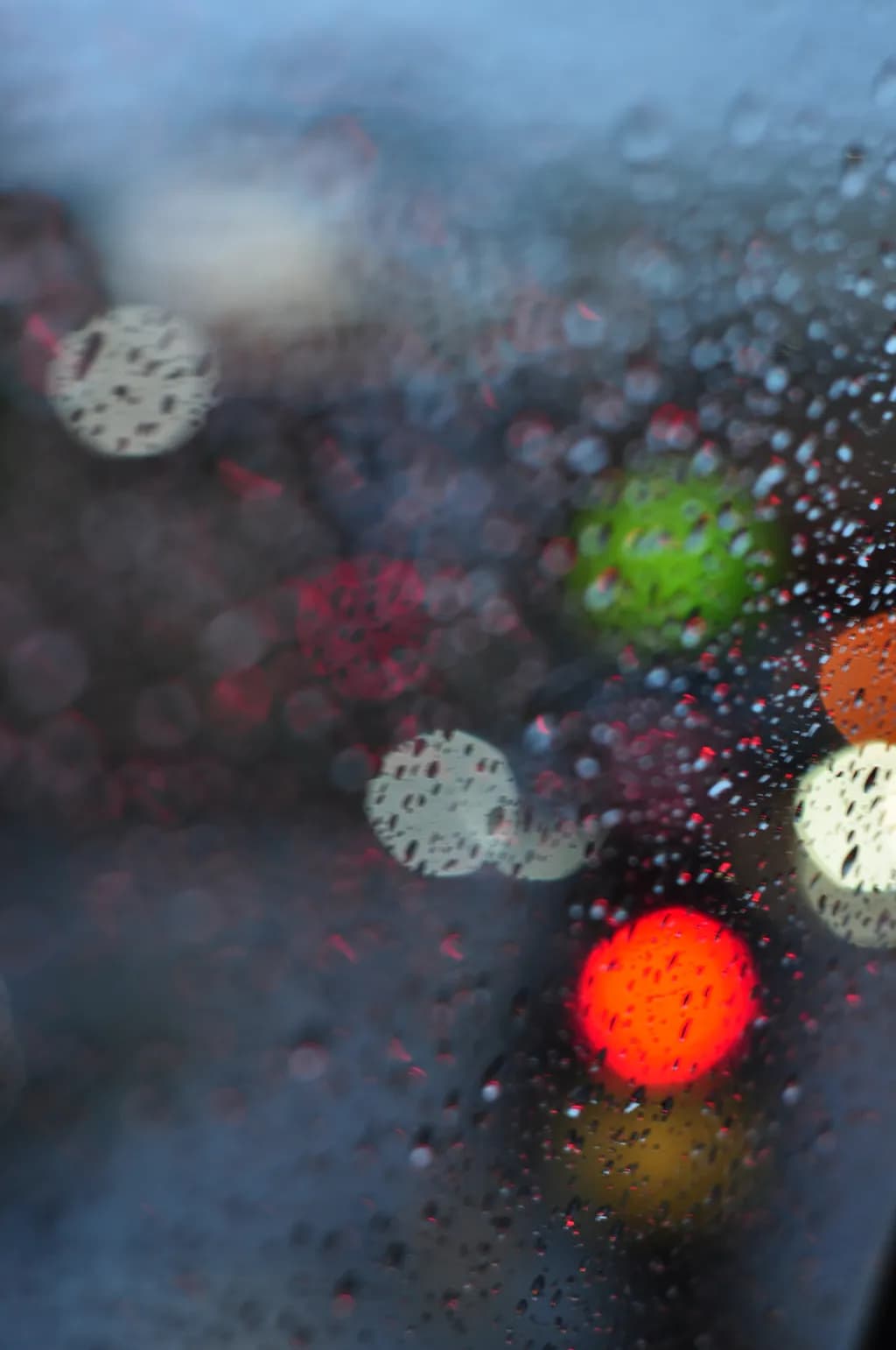 Rainy Window Lights