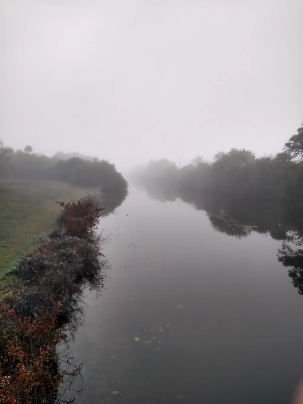 Misty River Reflection