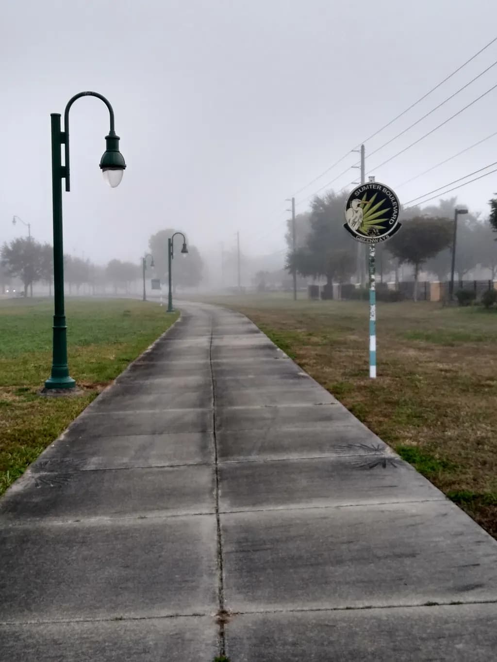 Foggy Pathway