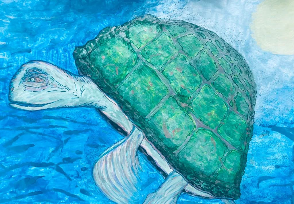 Green Turtle Drift