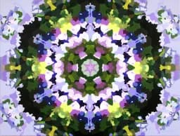 Garden Kaleidoscope