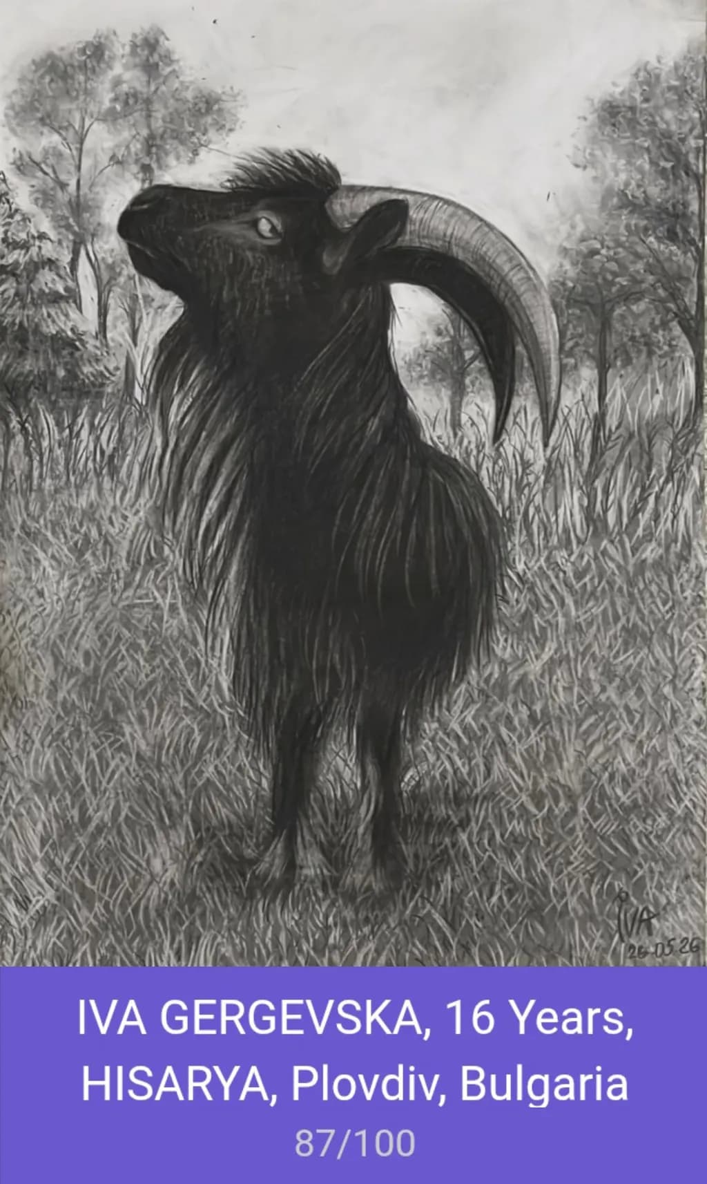Black Goat in Grass