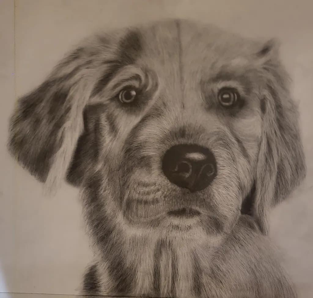 Golden Retriever Portrait
