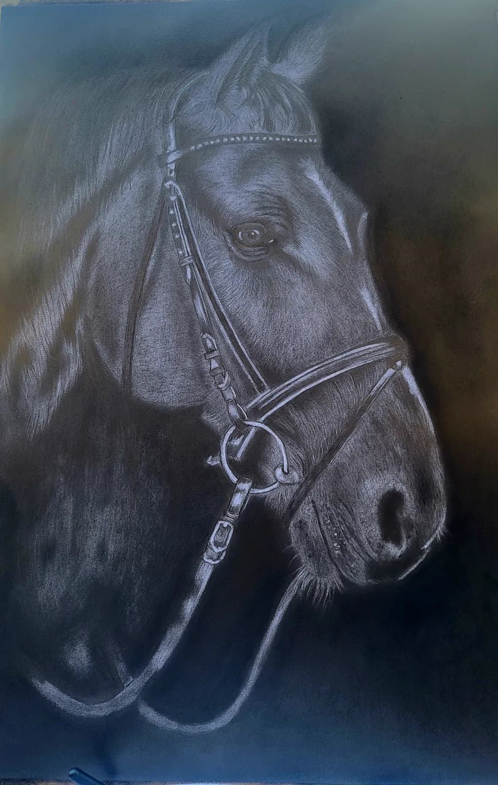 Horse Portrait