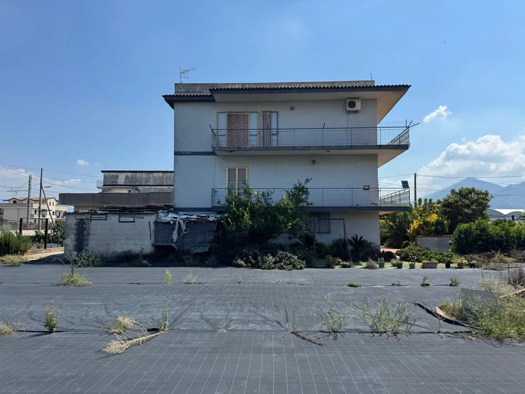 Suburban House and Overgrowth