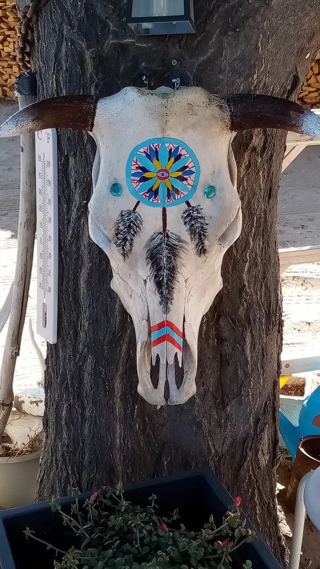 Medicine Wheel Bull Skull