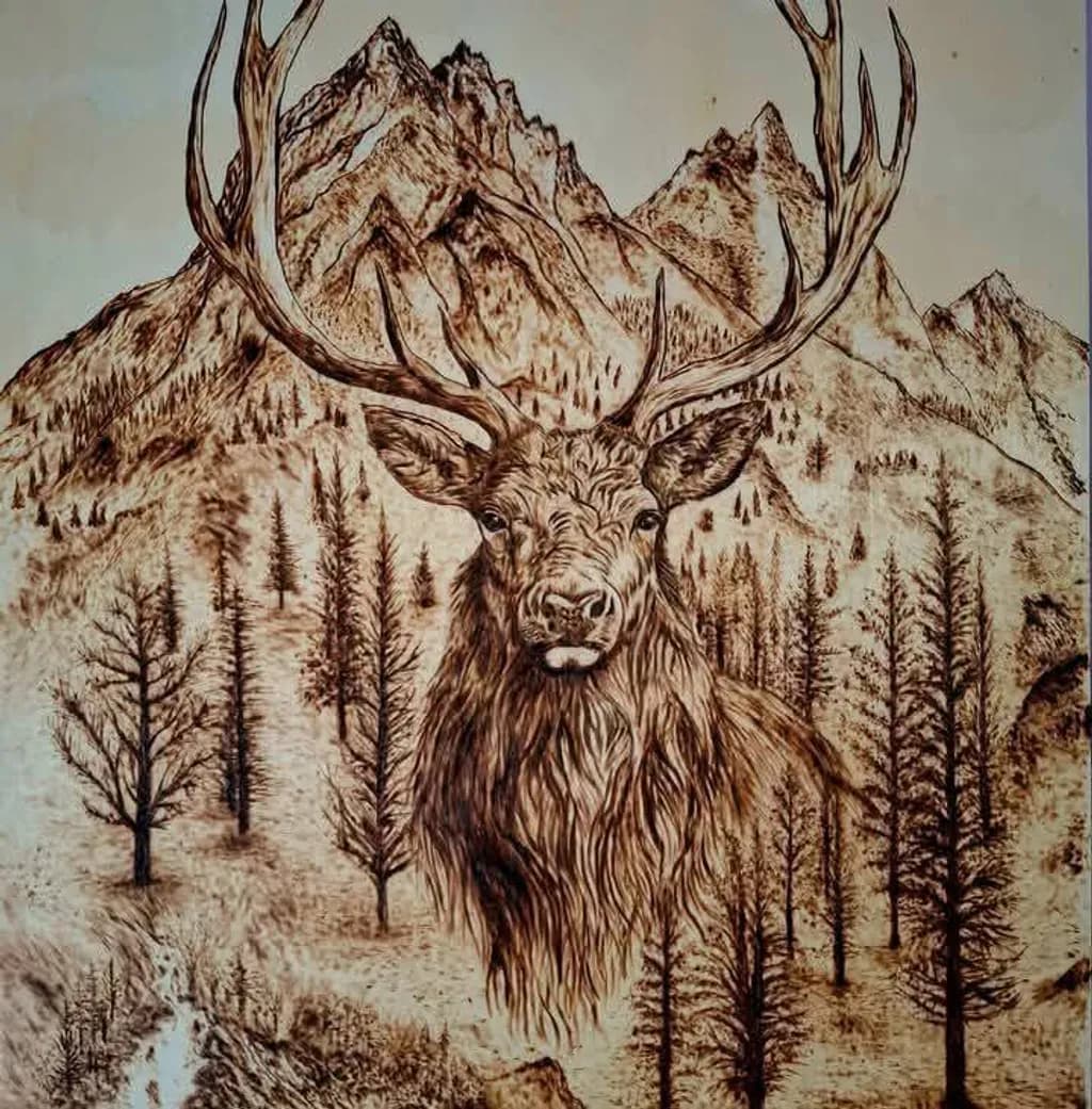 Mountain Elk Wilderness