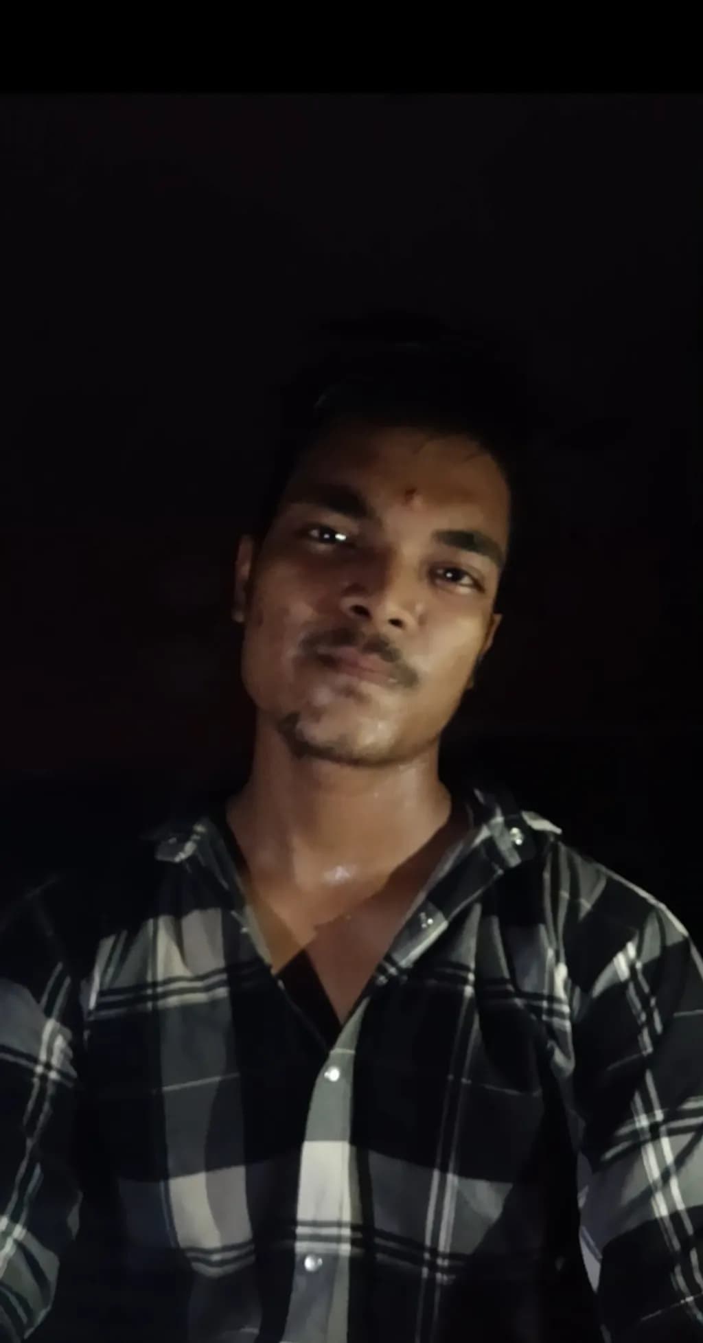 Plaid Portrait