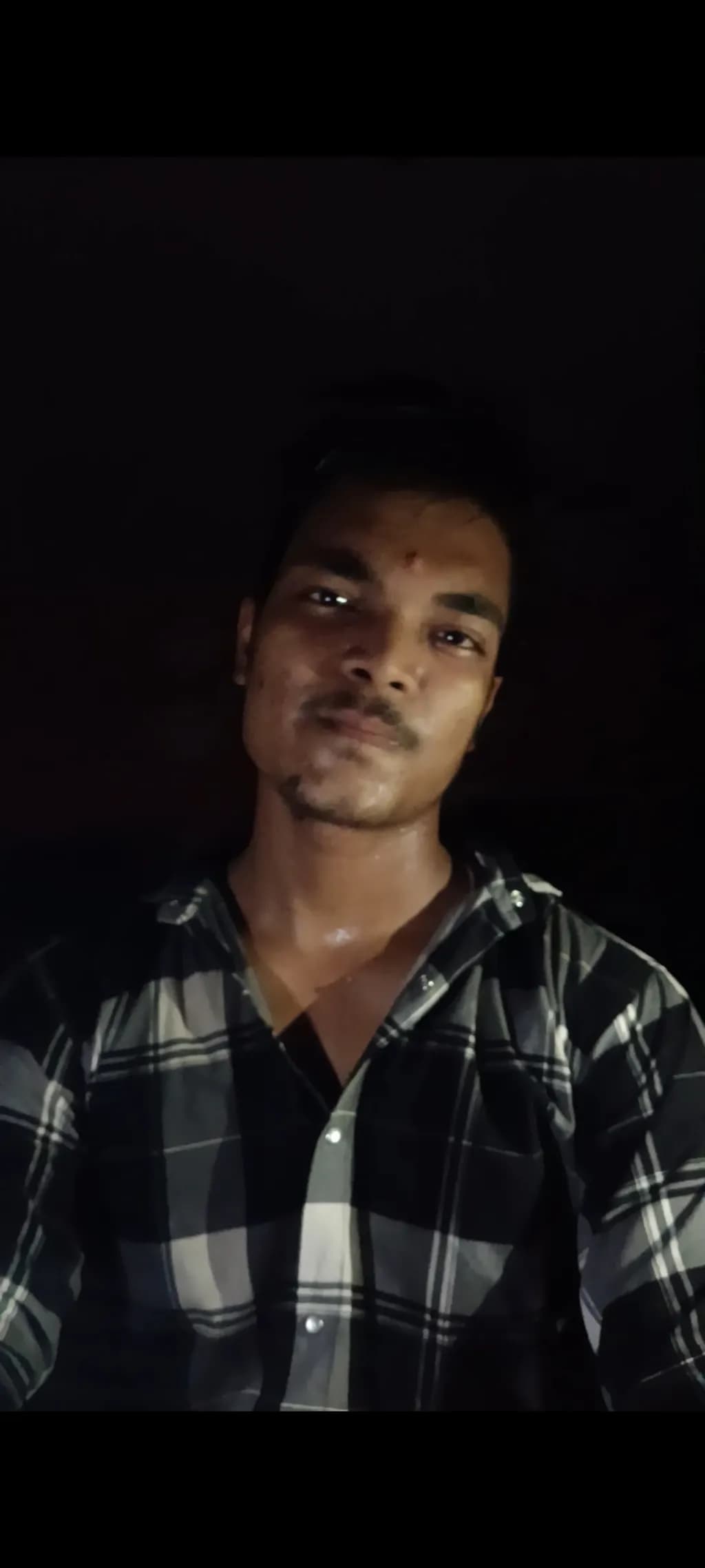 Plaid Shadows Portrait