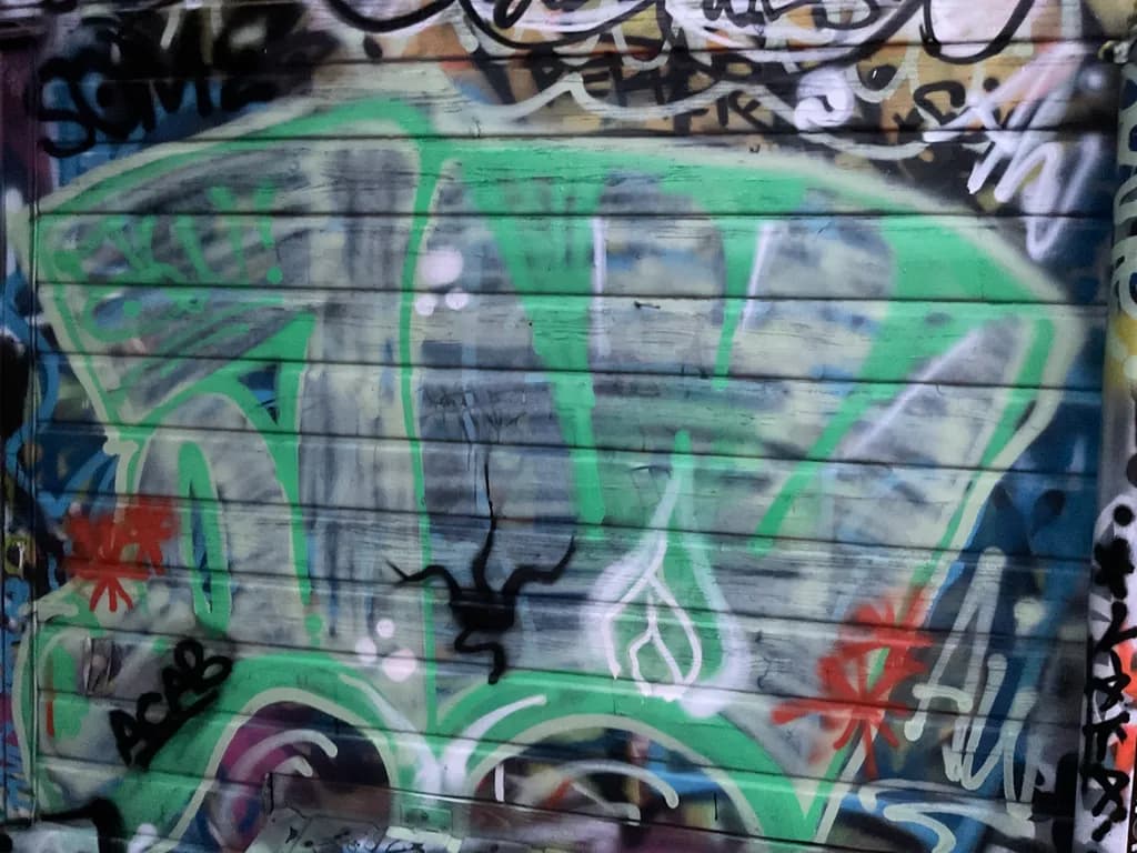 Green Graffiti Wall