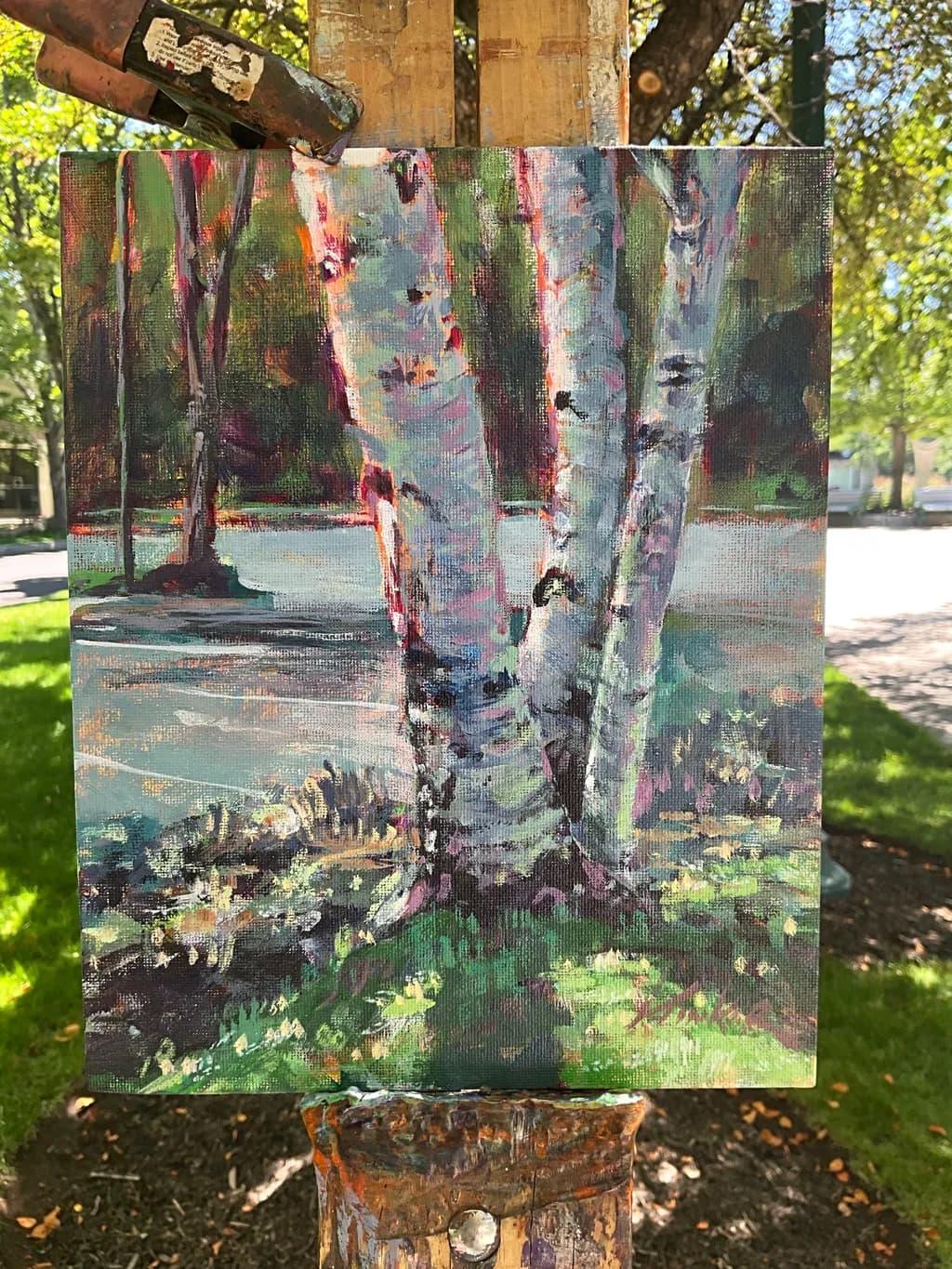Birch Tree Trio