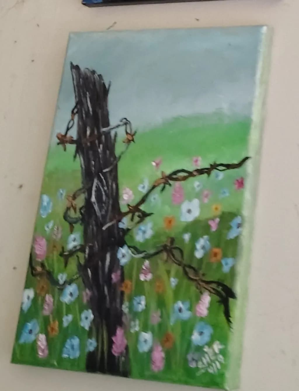 Barbed Wire and Wildflowers