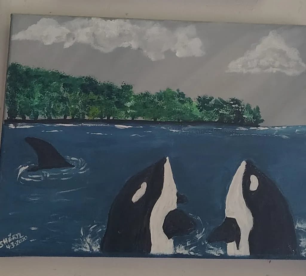 Orcas Near Forested Shore