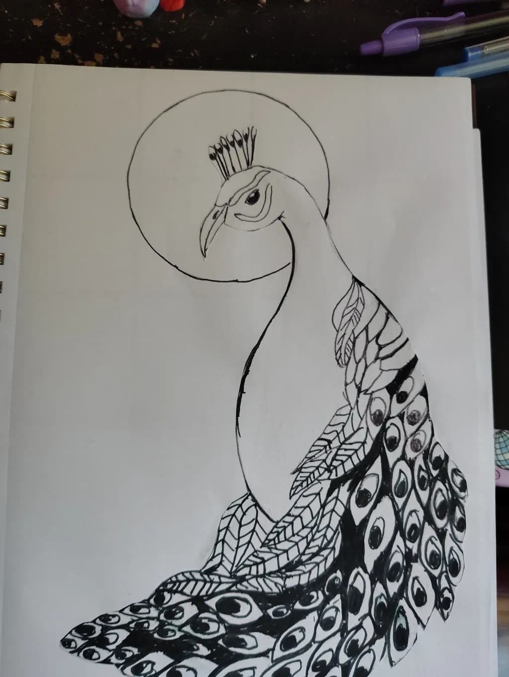 Peacock in Circle