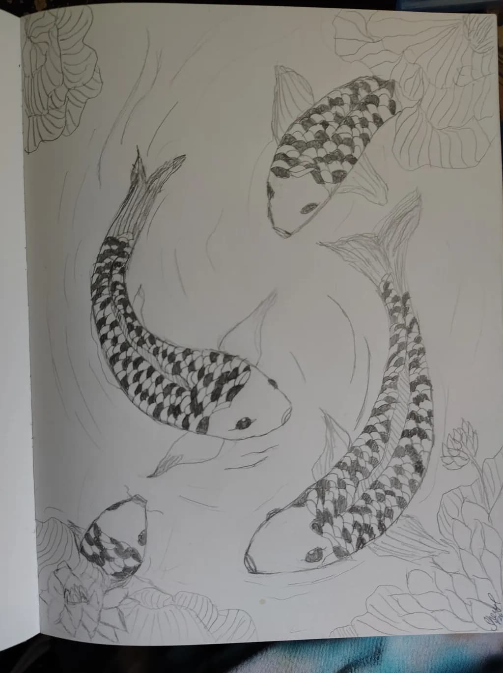 Koi Pond Scene