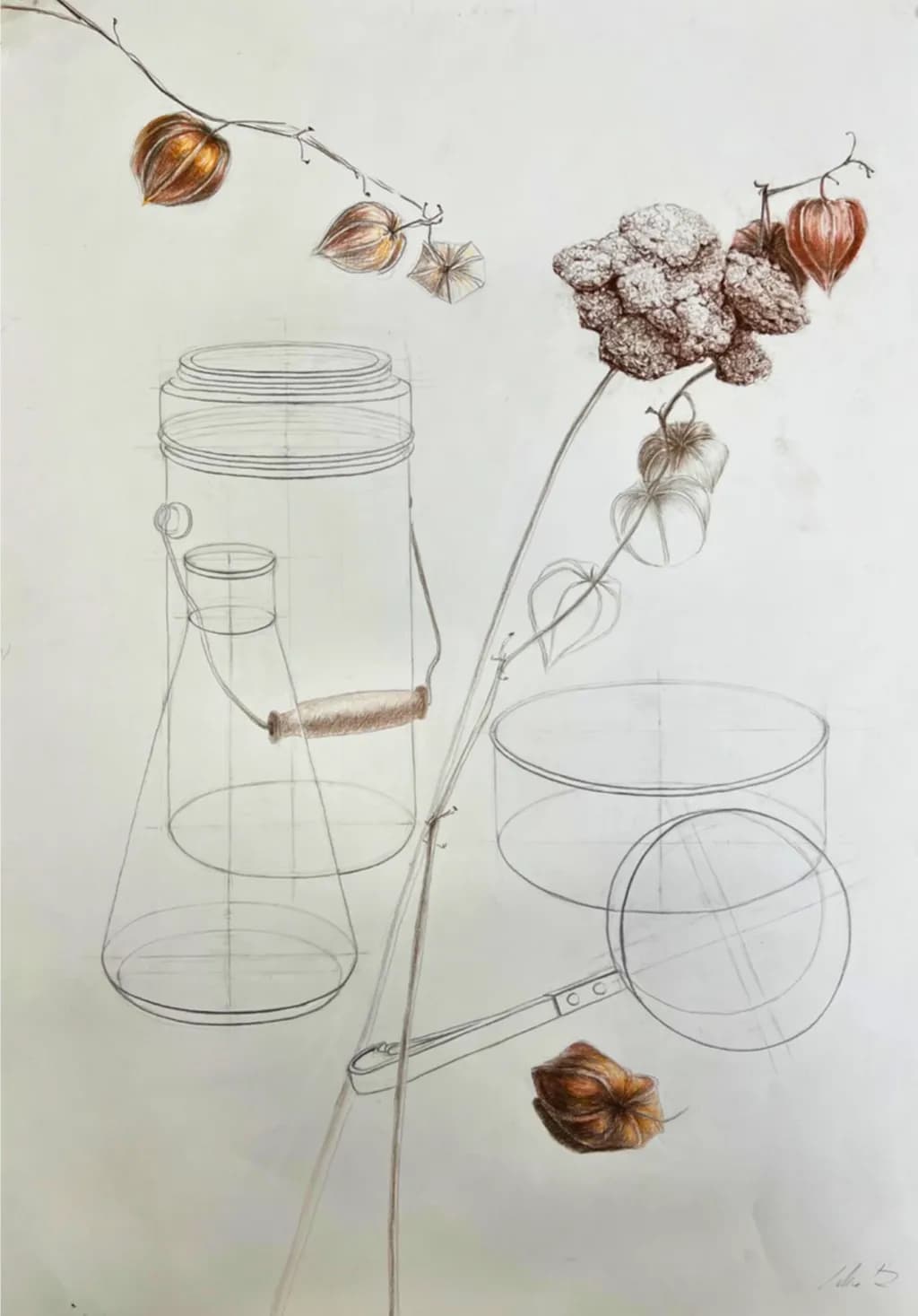 Botanical Bottles Study