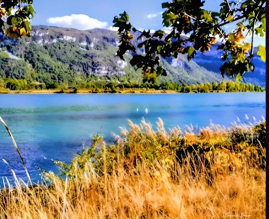 Mountain Lake View
