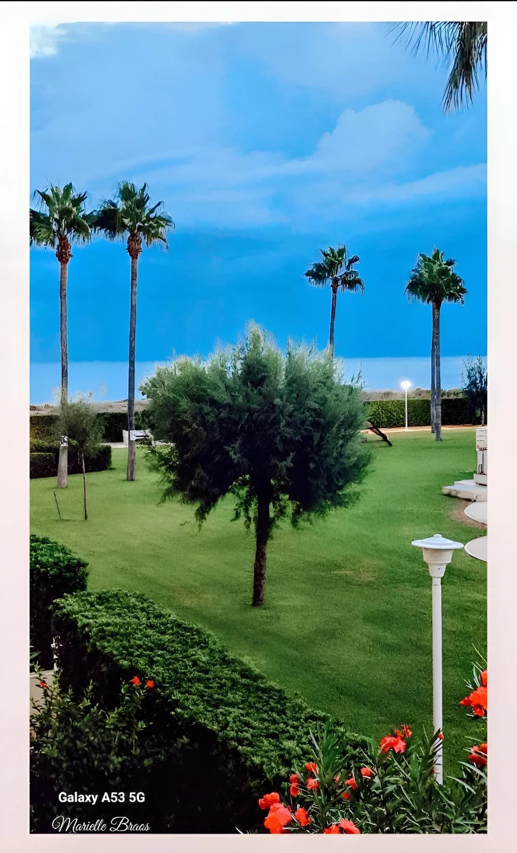Garden in SPAIN, Costa Blanca.
