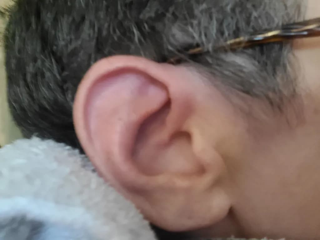 Inbound Ear Closeup