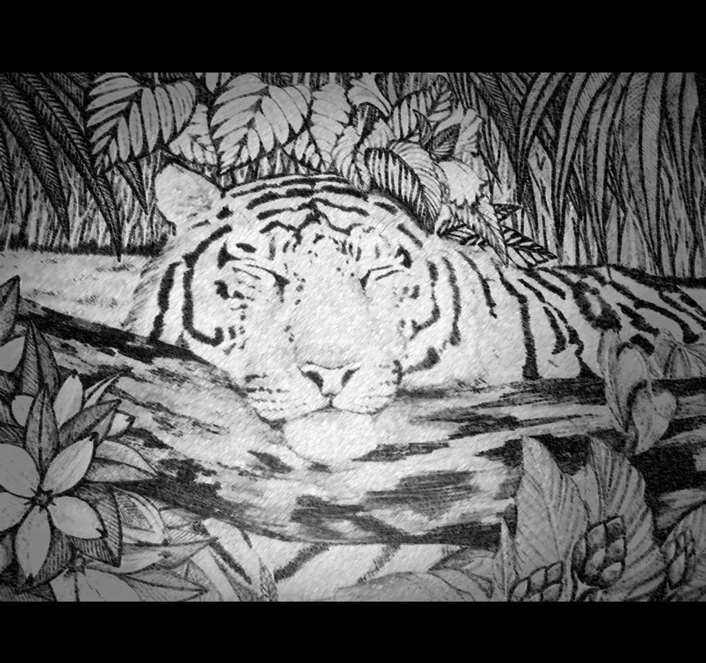 Resting Tiger in Jungle