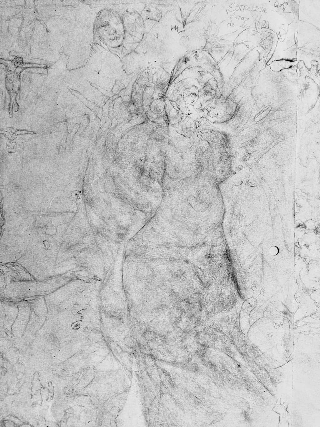 Figures in Motion