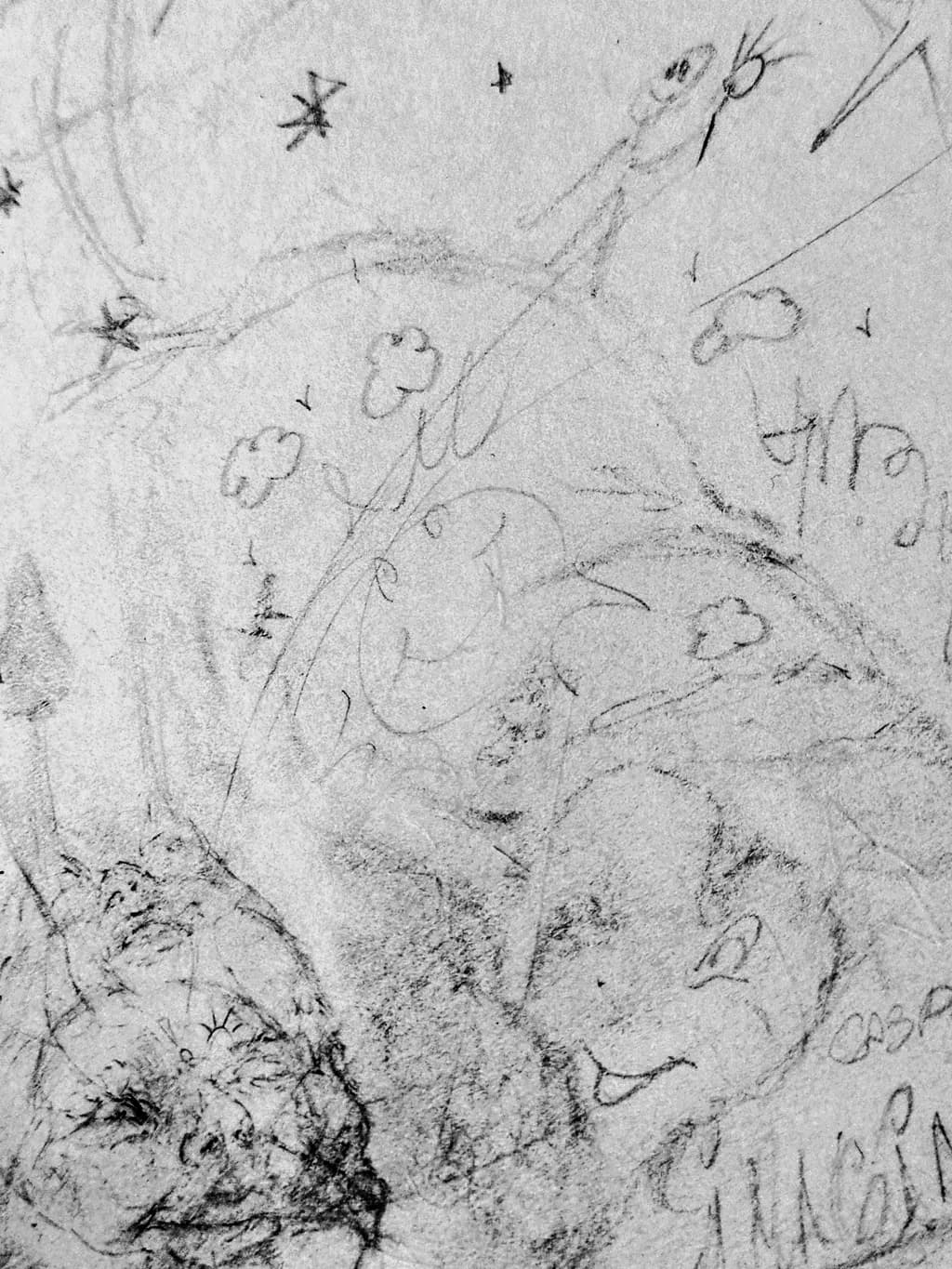 Graphite Figures and Botanicals