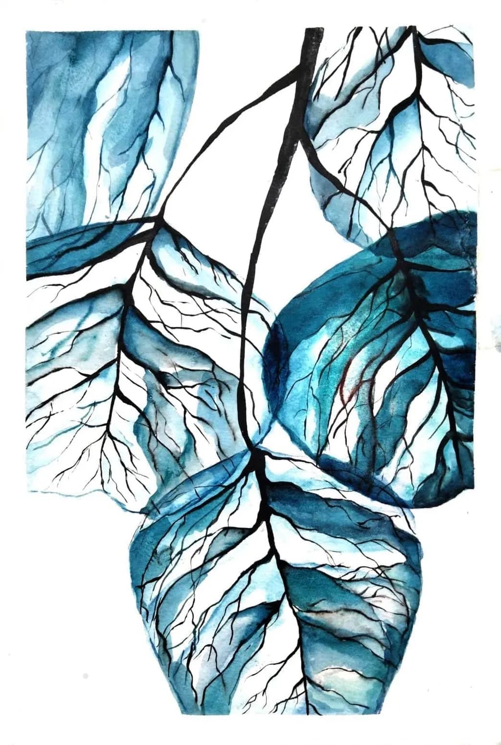 Blue Leaf Veins