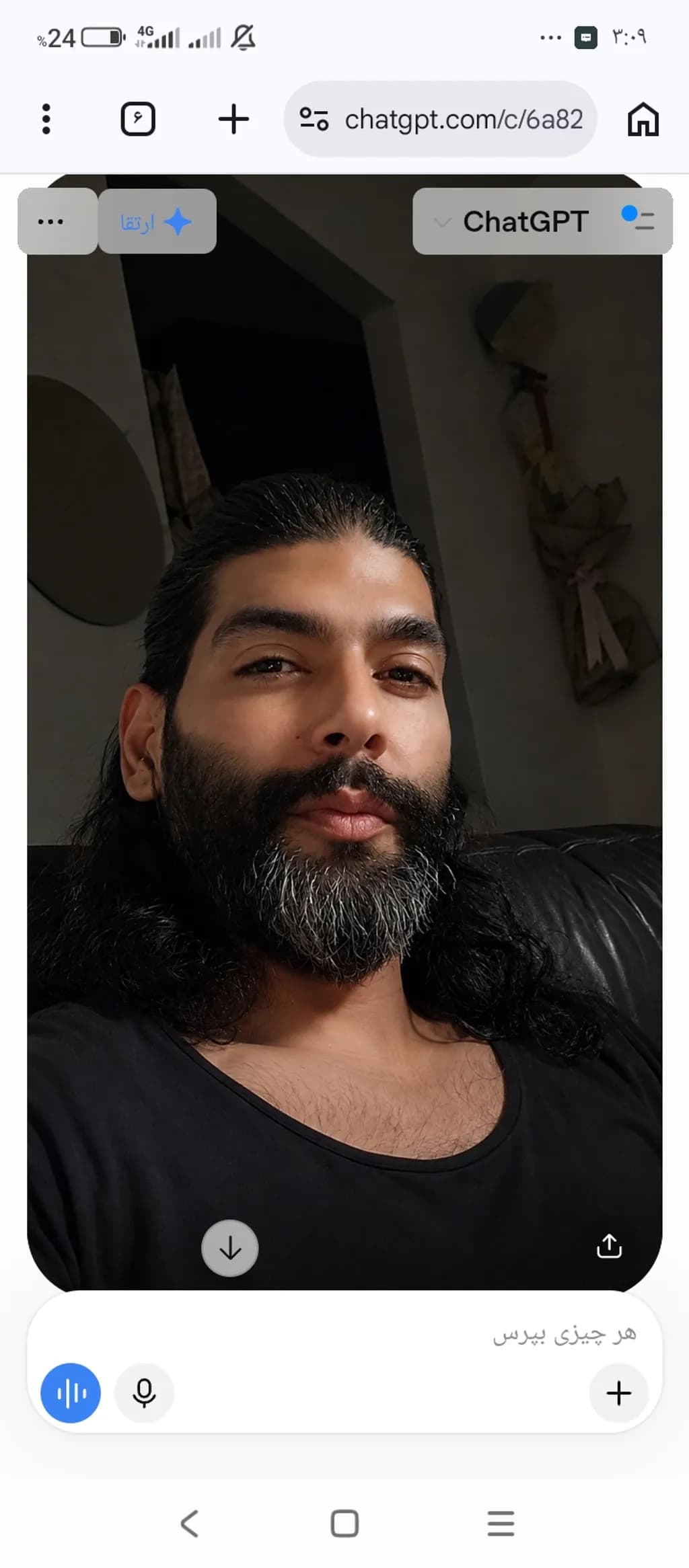 Bearded Portrait