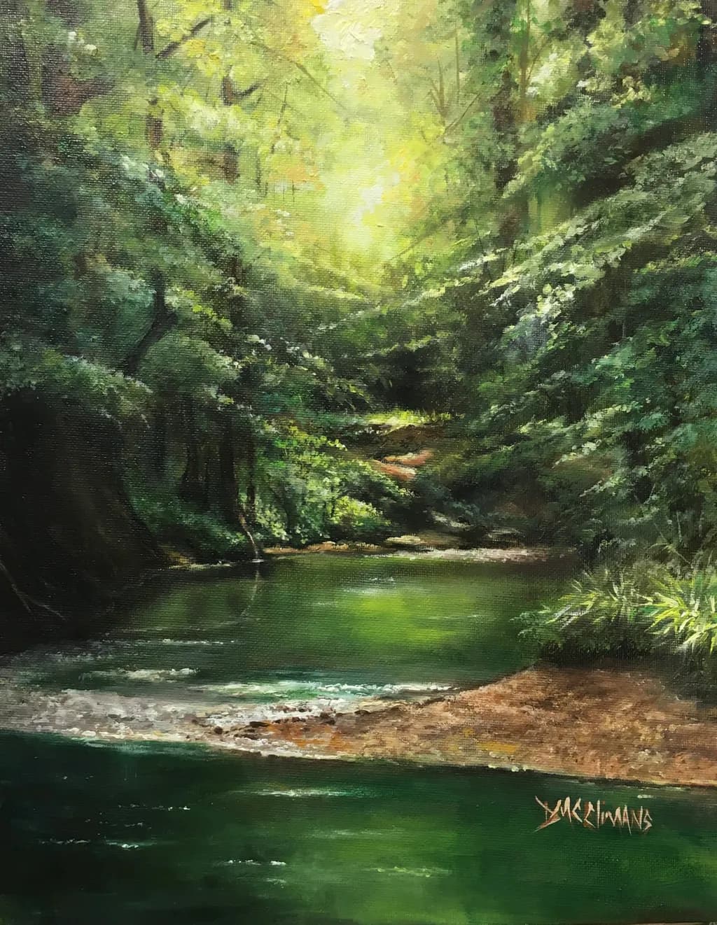 Forest Stream Glow