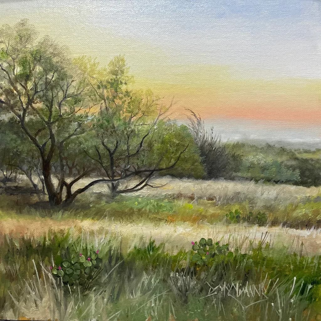 Sunset Over Field and Trees