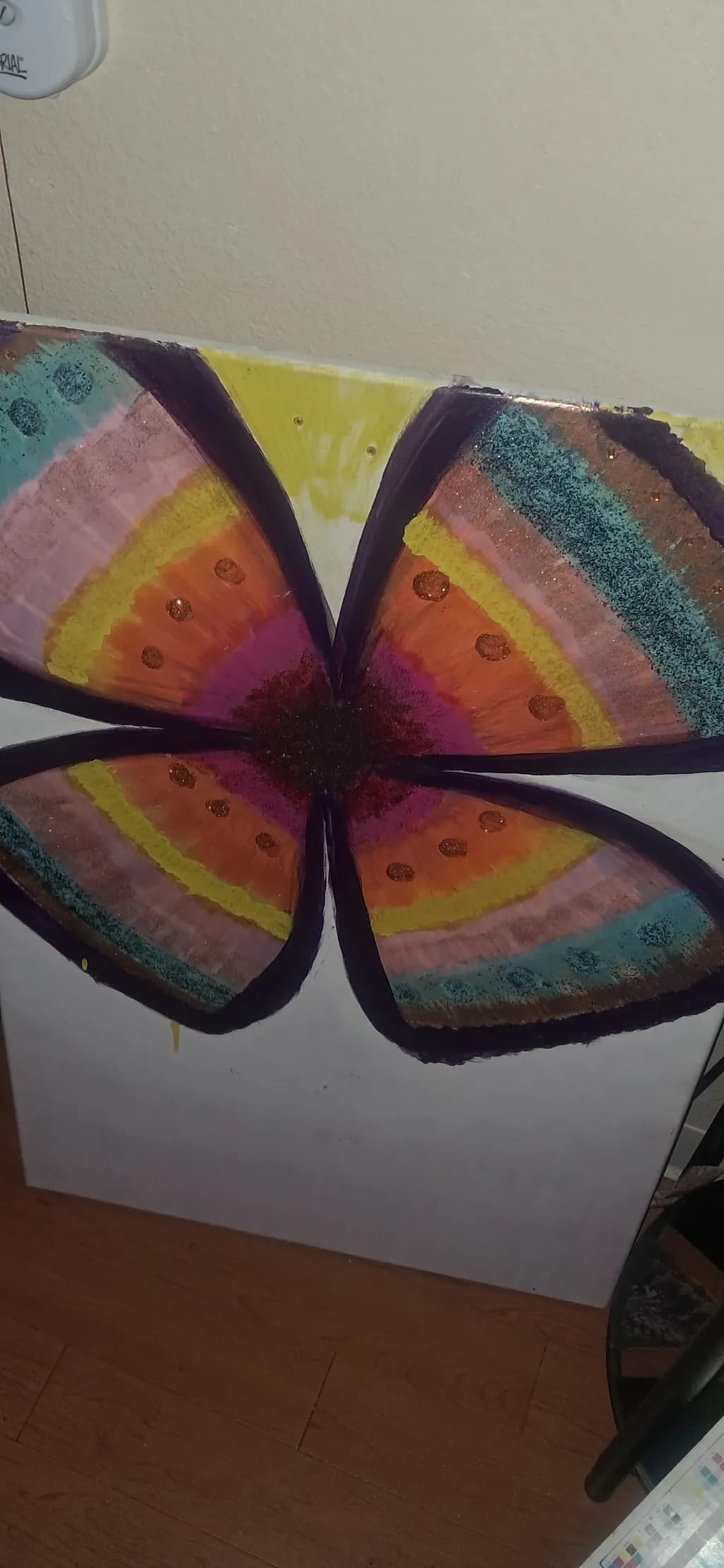 Colorful Butterfly Wings