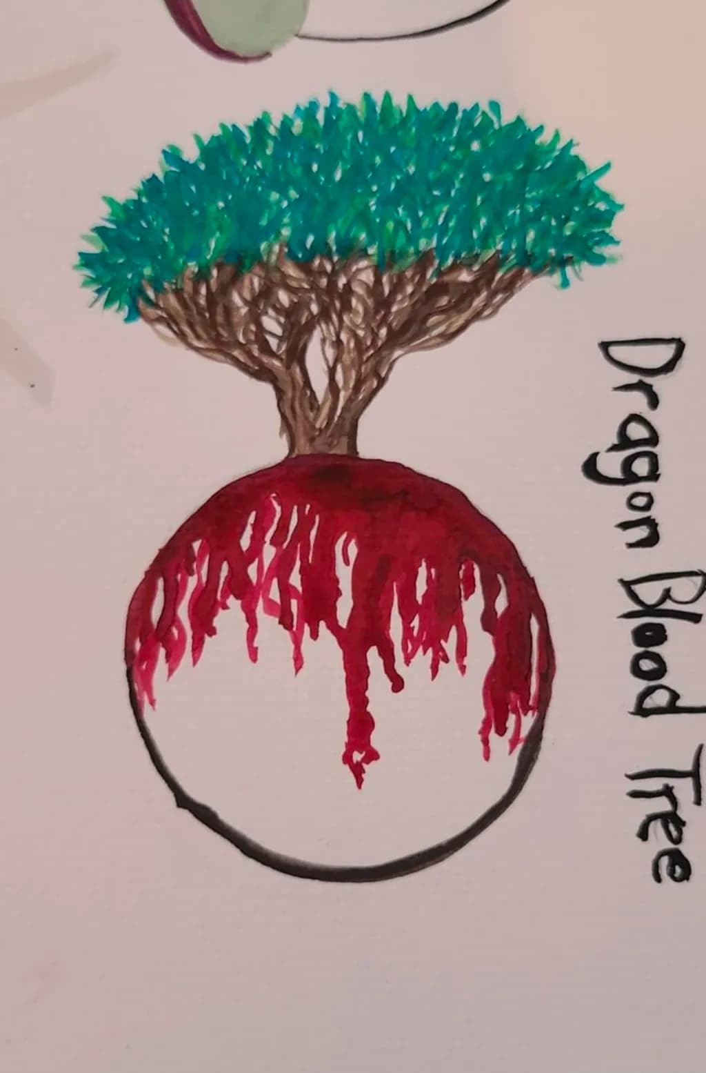 Dragon Blood Tree