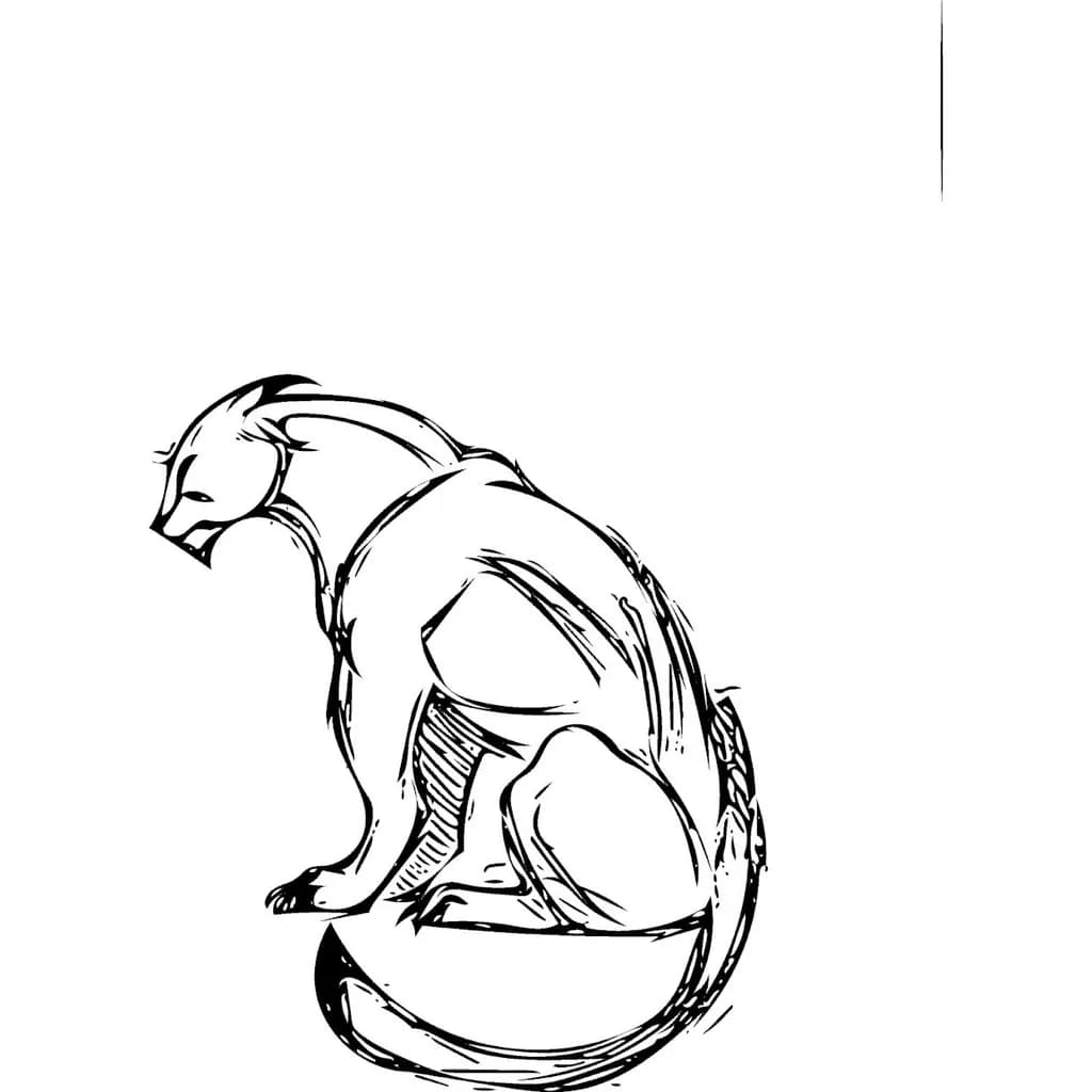 Sitting Cat Sketch