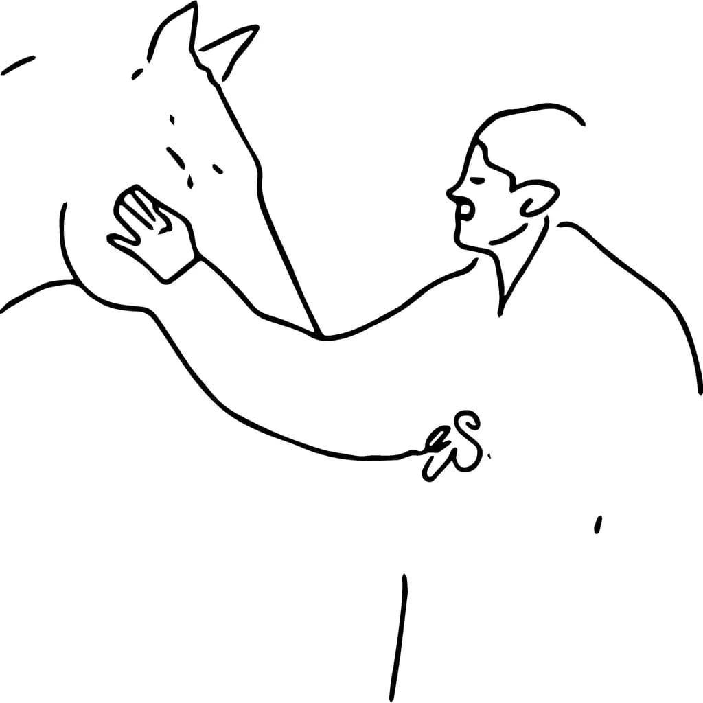 Man and Horse Connection