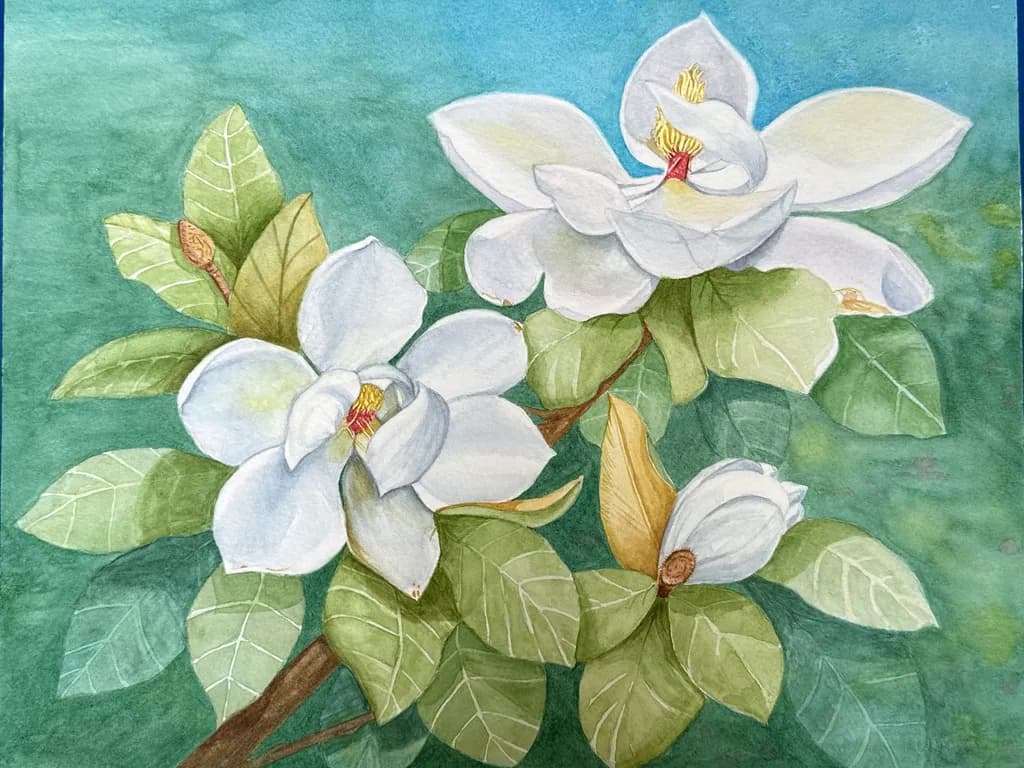 Magnolia Bloom Study