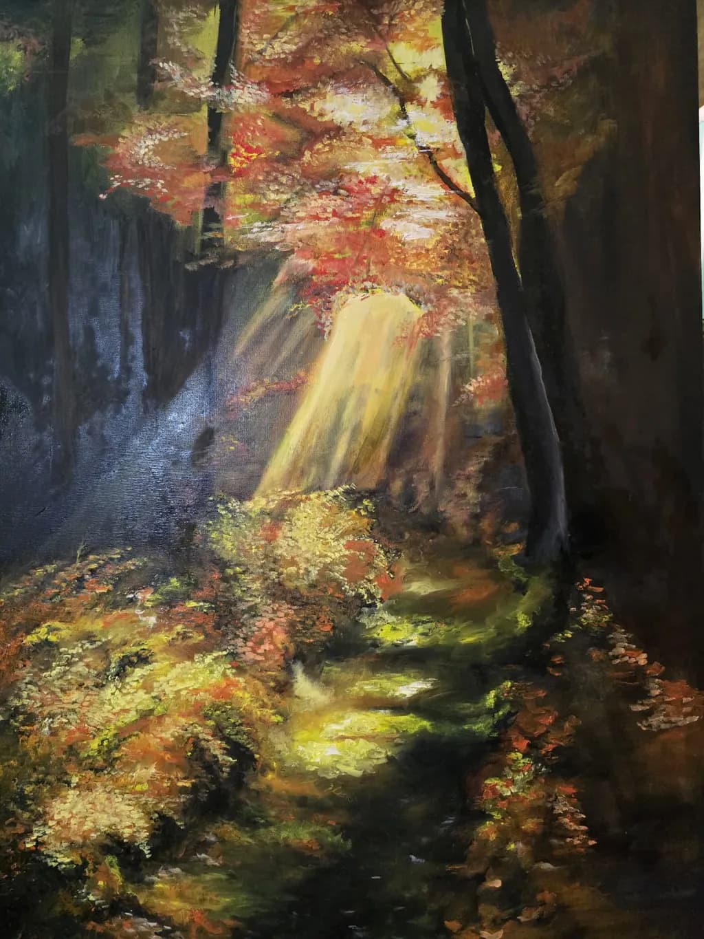 Forest Light Path